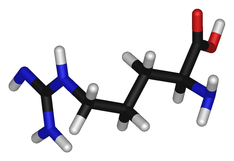 L-Arginin in Kapseln und Tropfen Bluestone